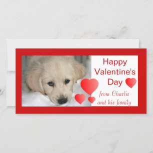 Felices tarjetas de fotos de perros de San Valentí