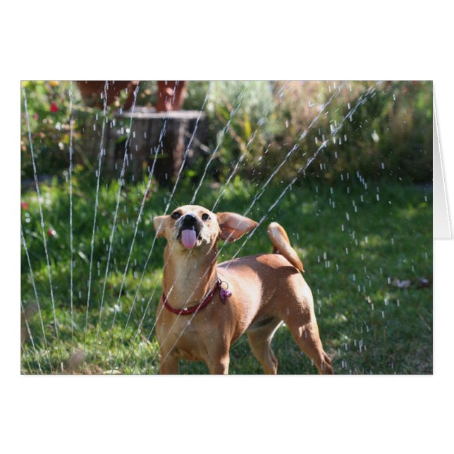 Felicidad (Anverso (Horizontal))