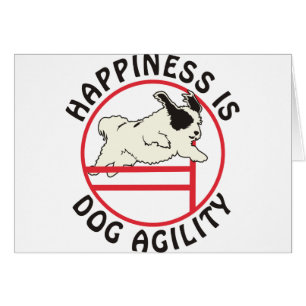 Felicidad de la agilidad del perro