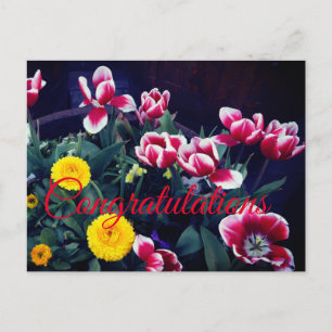 Felicidades por las flores de primavera #4 postal