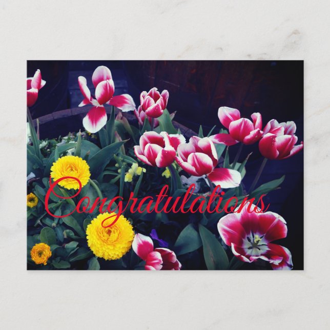 Felicidades por las flores de primavera #4 postal (Anverso)