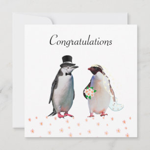 Felicidades por su boda y pareja de pingüinos