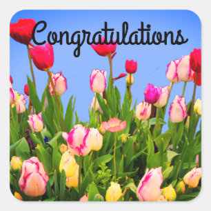 Felicitaciones a varios Pegatinas de Tulips #3