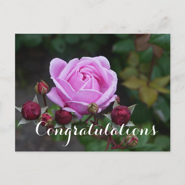 Felicitaciones Bishop’s Castle  #1 Tarjeta Postal (Anverso)
