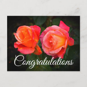 Felicitaciones Broadway Rose #1 Tarjeta postal