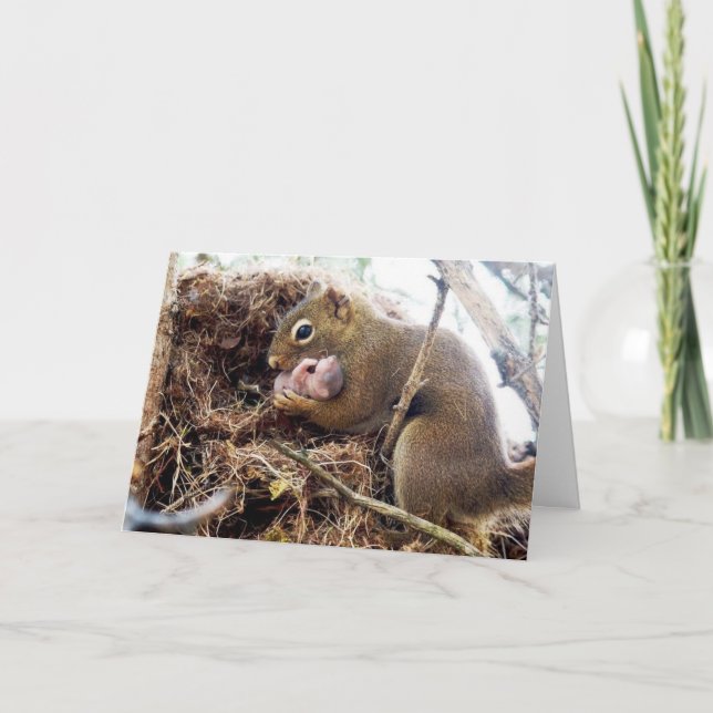 Felicitaciones nueva tarjeta de bebé mami (Anverso)