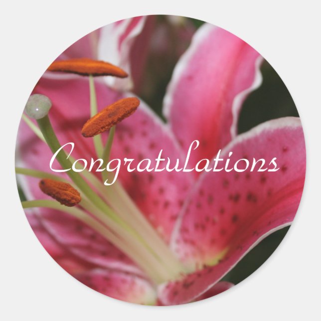 Felicitaciones Pegatinas por regalos (Anverso)