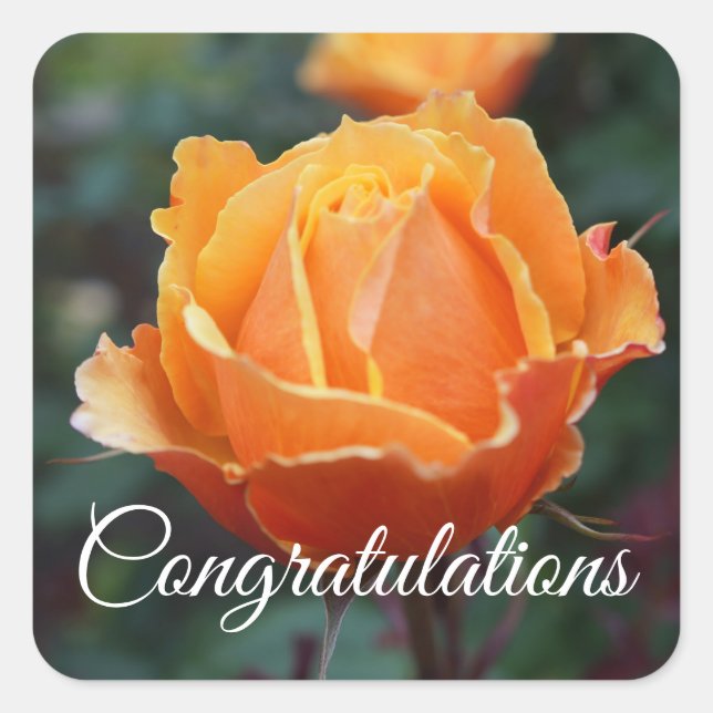 Felicitaciones por el Rosa #1 Pegatinas (Anverso)