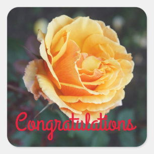 Felicitaciones por el Rosa #3 Pegatinas