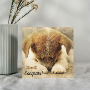 Felicitaciones por la nueva tarjeta de perro Masco