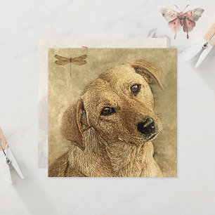 Felicitaciones por la nueva tarjeta de perro Masco
