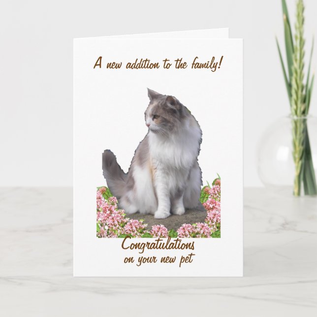 Felicitaciones por las nuevas tarjetas de mascota, (Anverso)