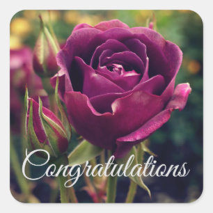 Felicitaciones Rosa Borgoña Iceberg #1 Pegatinas