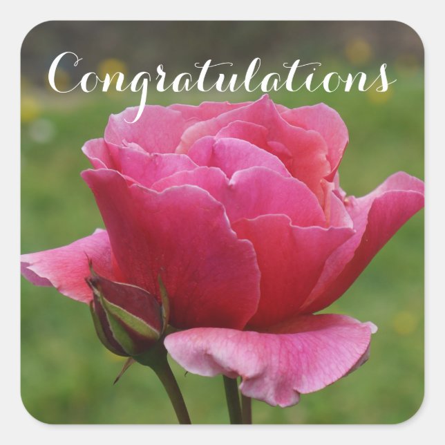 Felicitaciones Rosa Duet #1-2 Pegatinas (Anverso)