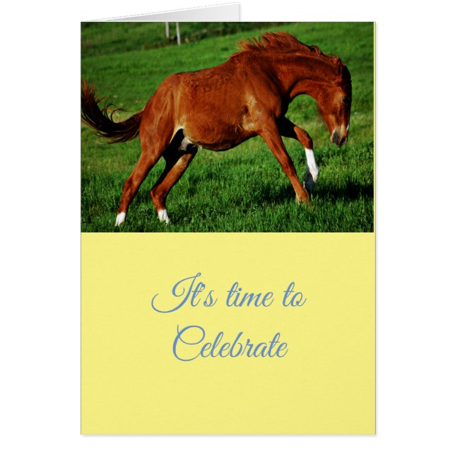 Felicitaciones Saludos de Celebración (Frente)