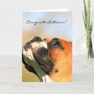 Felicitaciones Tarjeta de felicitación de perro Bo