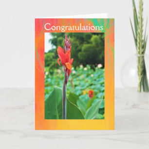 Felicitaciones tarjeta de felicitación doblada de 