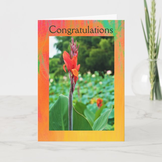 Felicitaciones tarjeta de felicitación doblada de  (Anverso)
