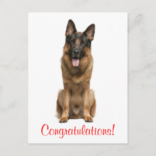 Felicitaciones Tarjeta Postal de Cachorro de Perro