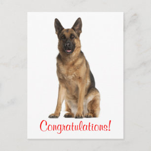 Felicitaciones Tarjeta Postal de Cachorro de Perro
