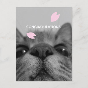 Felicitaciones Tarjeta Postal en Blanco