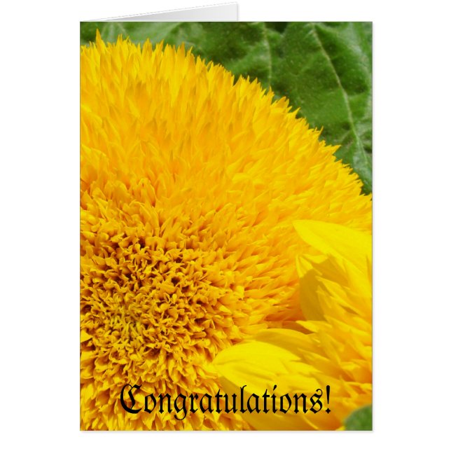 ¡Felicitaciones! Tarjetas de felicitación Sunflowe (Frente)