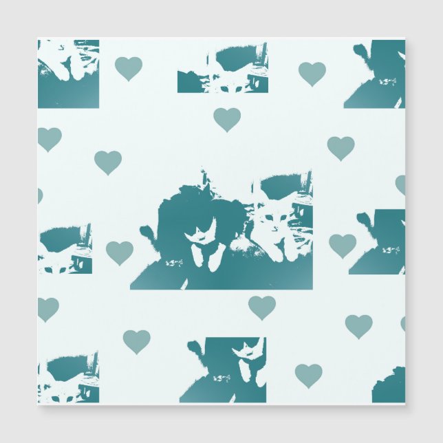 Feline Friends. Adorable Kitten Duo. (Anverso)