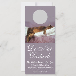 Feline Resort No Perturbar la Tarjeta de rack Pers