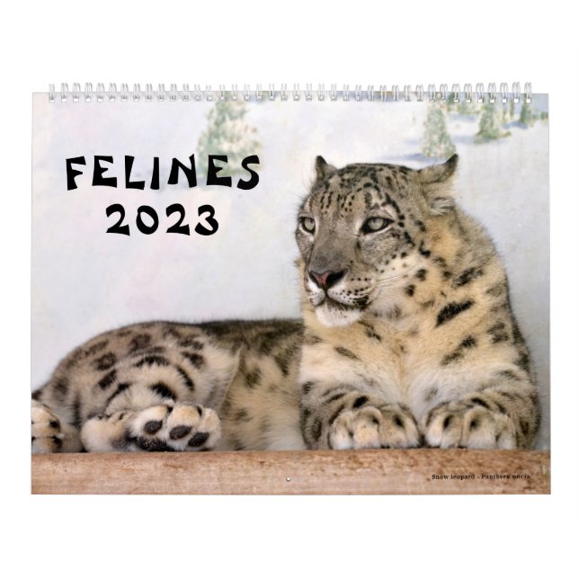 Felinos del calendario (Tapa)