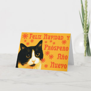 Felix Navidad