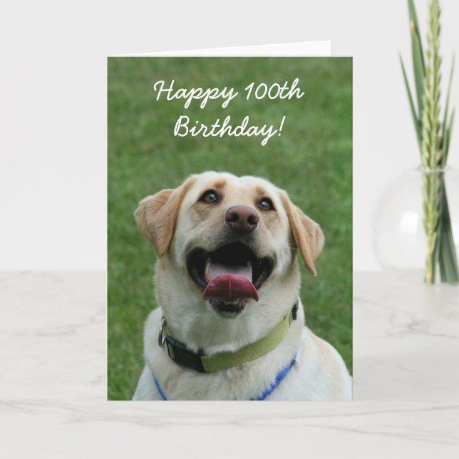 Feliz 100 cumpleaños labrador tarjeta de saludo (Anverso)