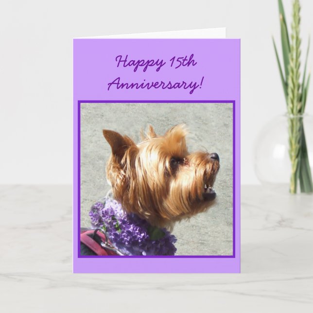 Feliz 15° aniversario de la tarjeta Yorkshire Terr (Anverso)