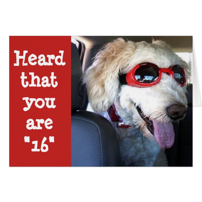 FELIZ **16to cumpleaños**HORA DE CELEBRAR!!!! (Anverso (Horizontal))