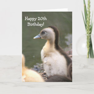 Feliz 20° cumpleaños Duckling tarjeta de saludo