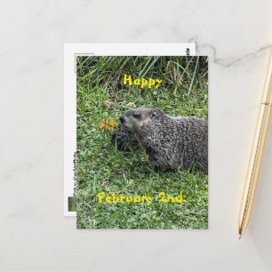 Feliz 2 de febrero Tarjetas postales personalizada