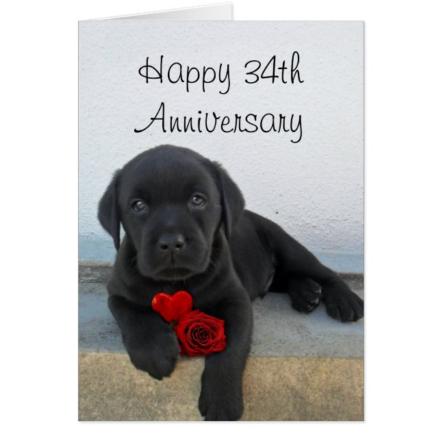 Feliz 34º aniversario tarjeta de cachorro de Labra (Frente)