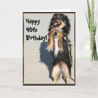 Feliz 40 cumpleaños Chihuahua tarjeta de saludo