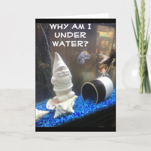 FELIZ *50* CUMPLEAÑOS DE LA HUMORIENTAL TARJETA GN