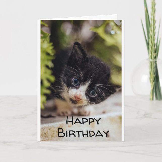 **FELIZ 7 DE CUMPLEAÑOS DE KITTY** Tarjeta (Anverso)