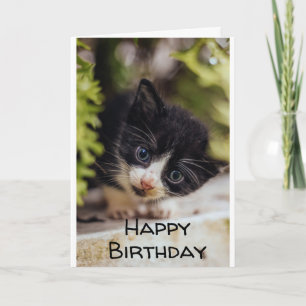 **FELIZ 7 DE CUMPLEAÑOS DE KITTY** Tarjeta