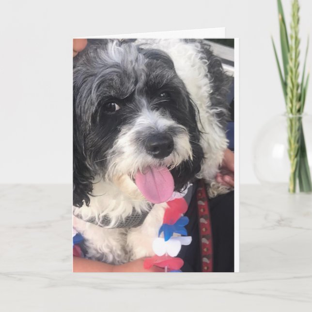 **FELIZ 8º CUMPLEAÑOS** Tarjeta (Anverso)