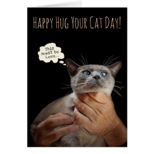 Feliz abrazo a tu día del gato (personalizable)
