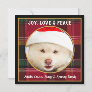 Feliz Alegría Amor Navidad