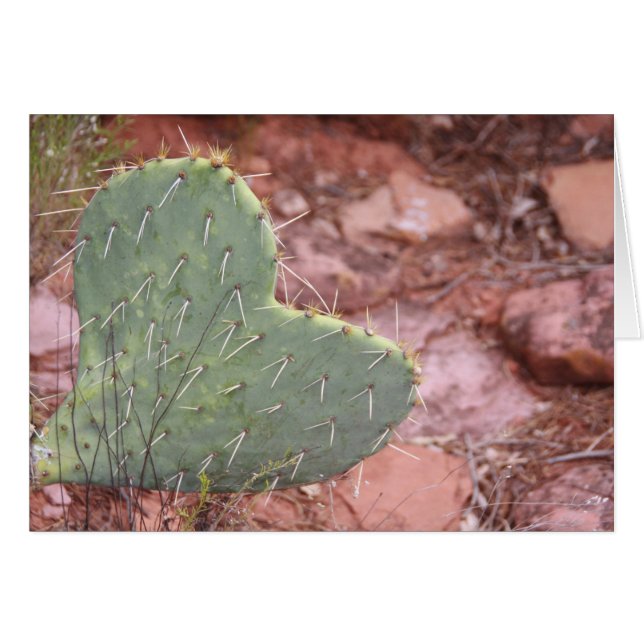 Feliz amor (Anverso (Horizontal))