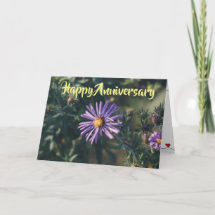 FELIZ "ANIVERSARIO" AL AMOR DE MI VIDA TARJETA