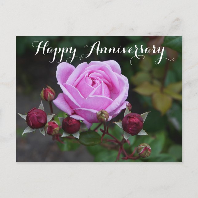 Feliz Aniversario Bishop's Castle Rosa #1 Tarjeta  (Anverso)