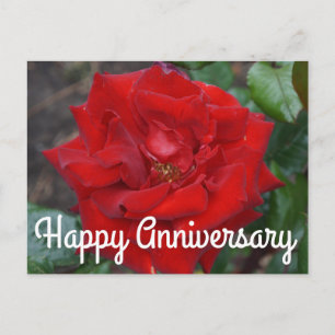 Feliz Aniversario Bouquet Carmesí Rosa #3 Tarjeta 