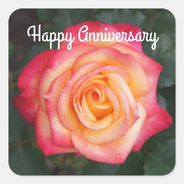 Feliz Aniversario Dream to True Rosa #1 Pegatinas (Anverso)
