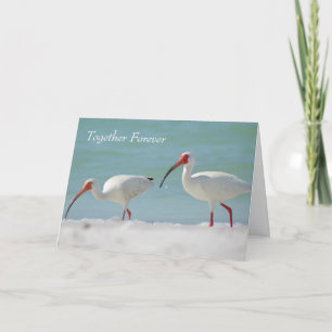 Feliz Aniversario Tarjeta de Pájaro Bonito