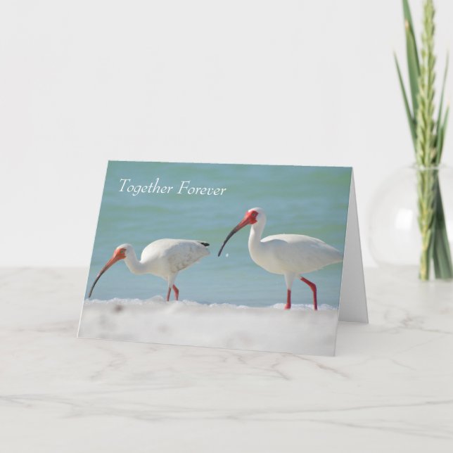 Feliz Aniversario Tarjeta de Pájaro Bonito (Anverso)